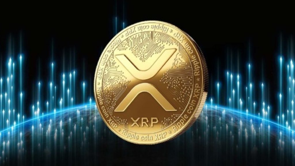 XRP Coin Gelecekte Ne Olur 2024